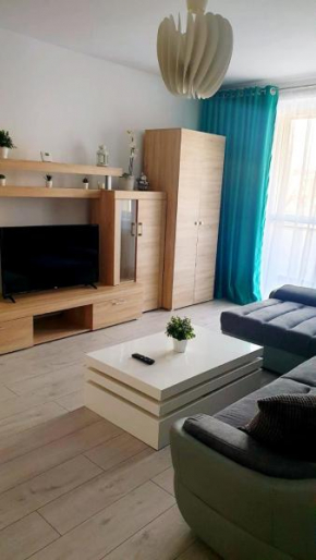 Apartament Central Radu